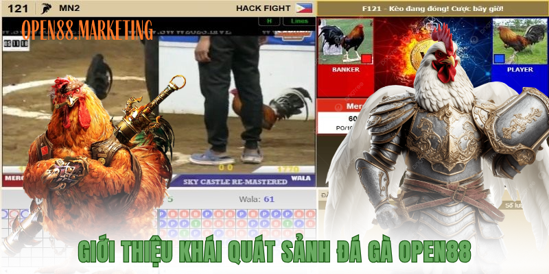 Giới thiệu khái quát sảnh đá gà OPEN88